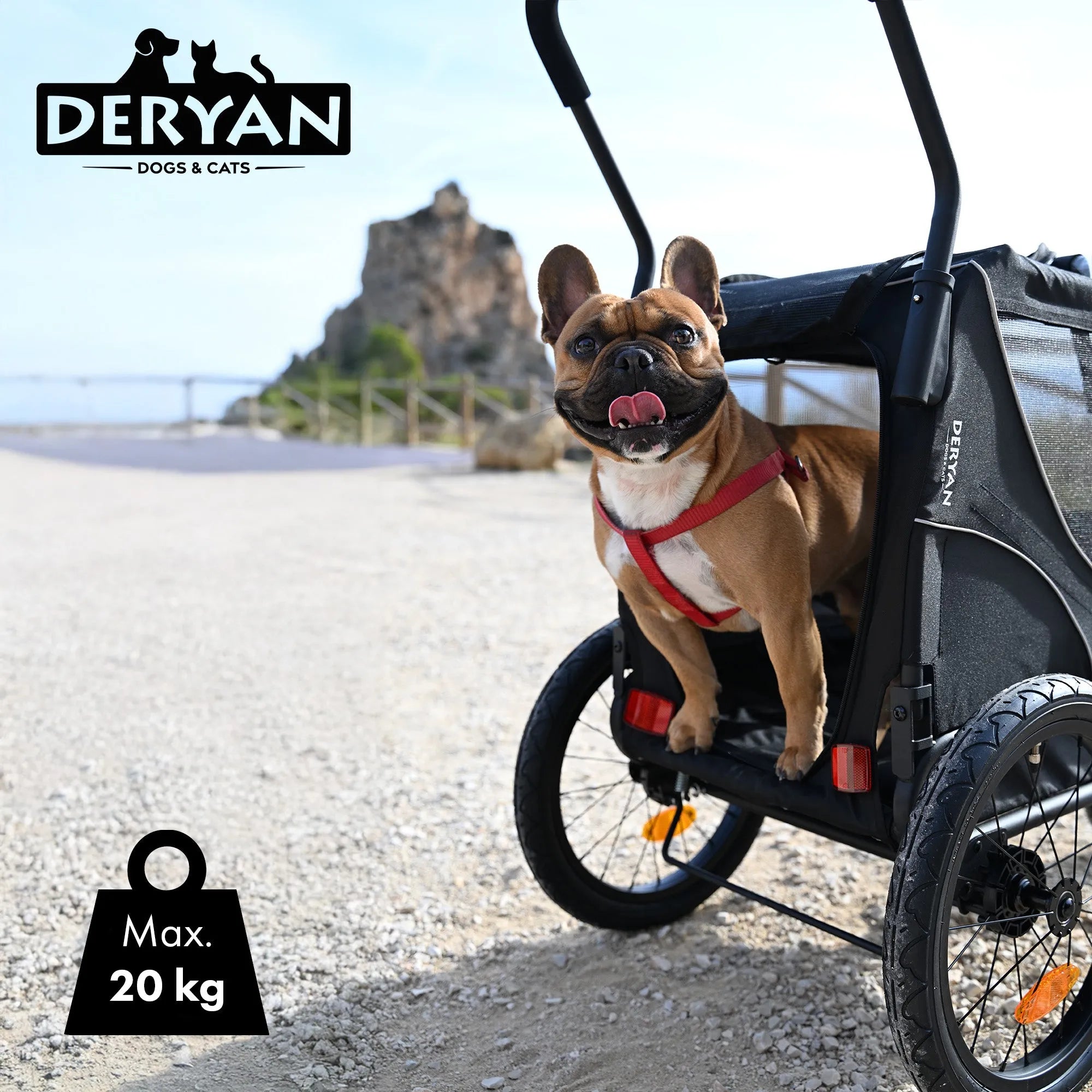 2-in-1 Hundeanhänger – Zusammenklappbar – Bis zu 20 kg – Geeignet für E-Bikes