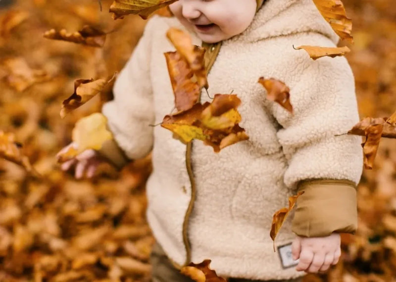 Autumn Activities with a Toddler