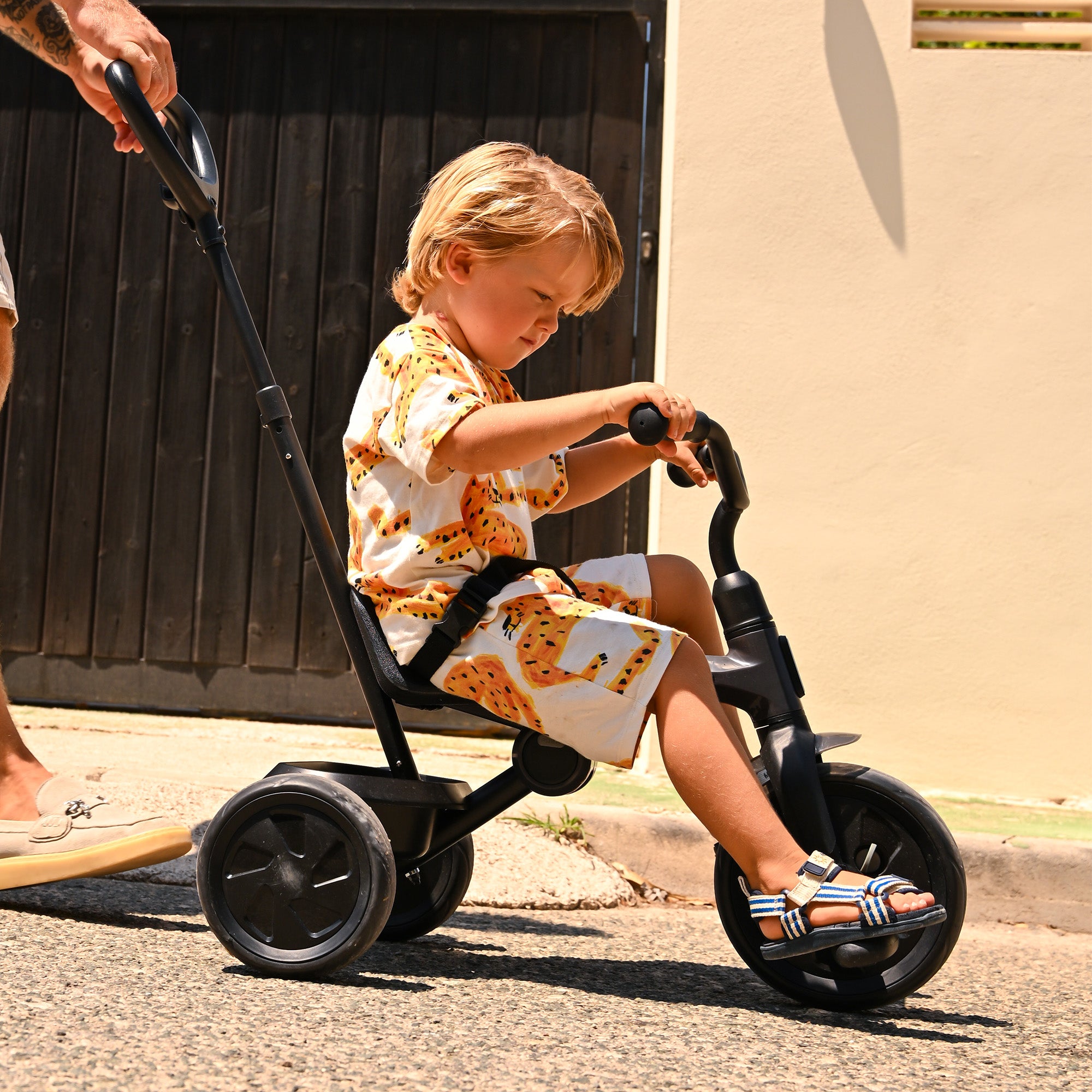 Drifter Tricycle with push bar Black