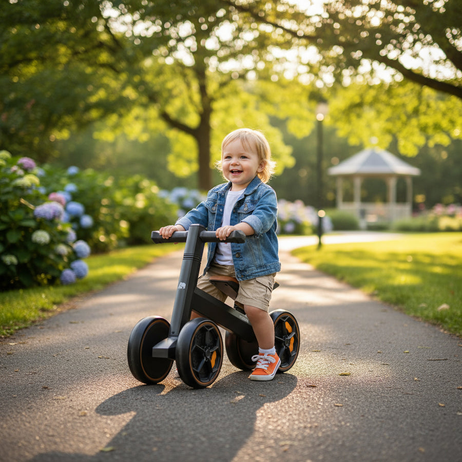 Dex Luxury Balance Bike - Sort