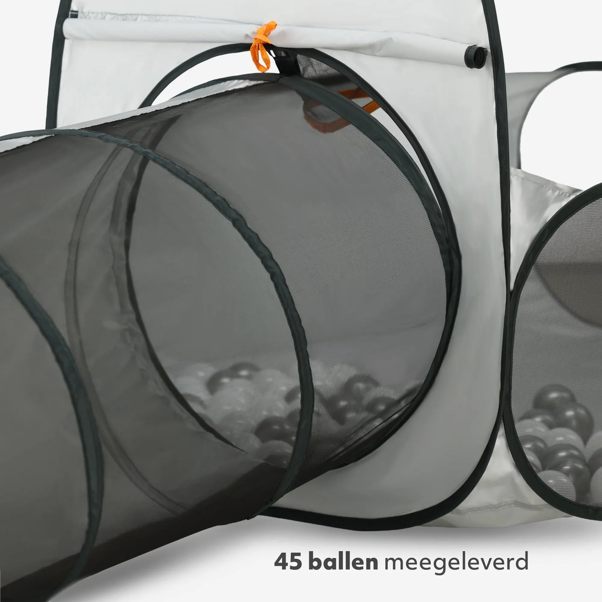 Basketbal Ballenbak Silver