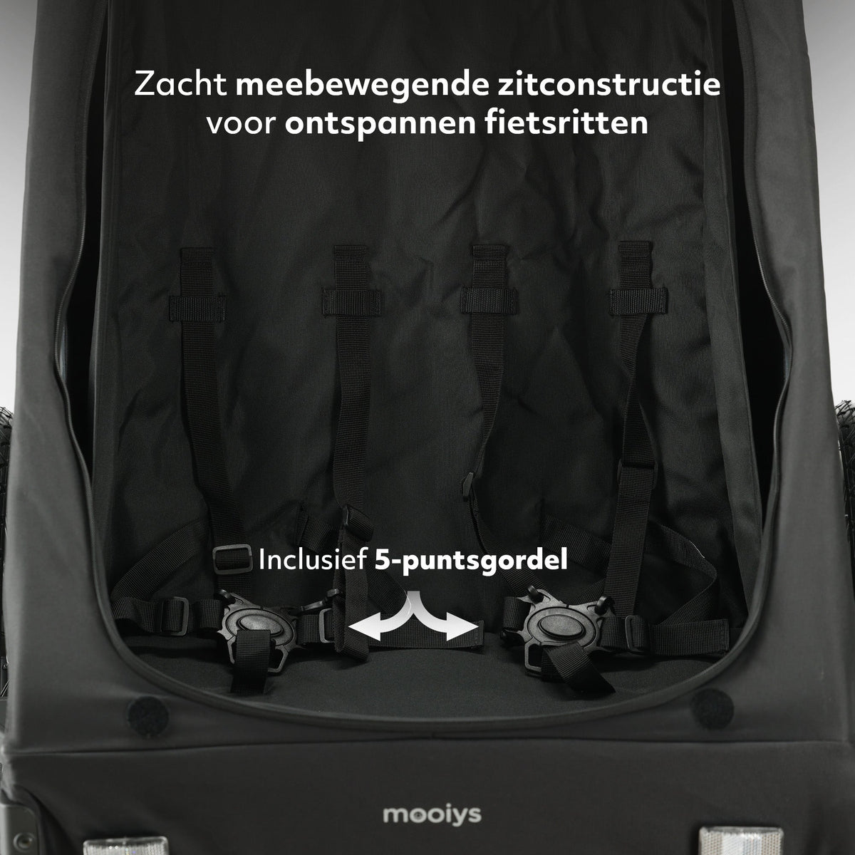 Luxury 2-Person Bike Trailer - Black