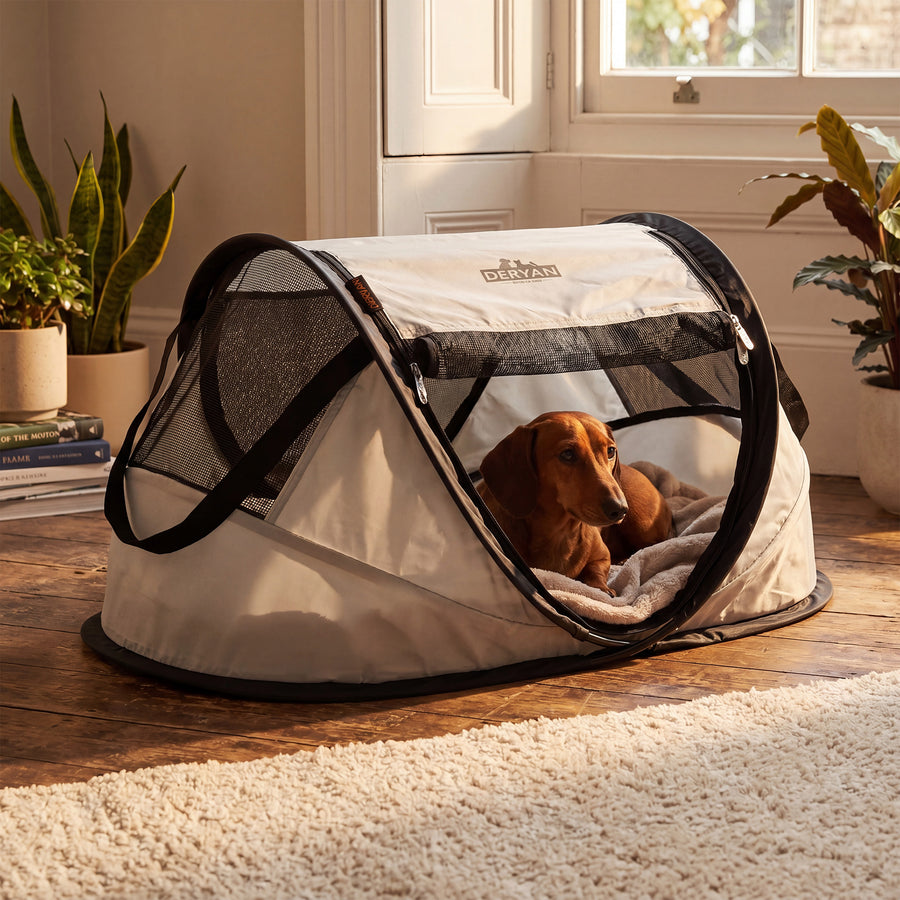 Deryan Perros y Gatos - Luxury Pop-Up Pet Travel-Cot - Corral para perros - Sistema pop-up - Banco plegable - Malla extra gruesa - Pequeño