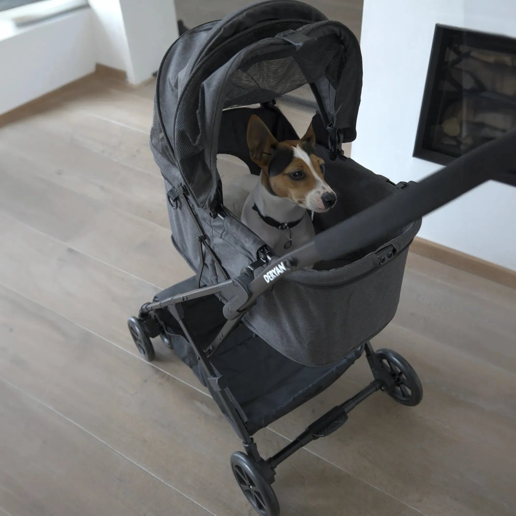 Luxury Foldable Dog Buggy