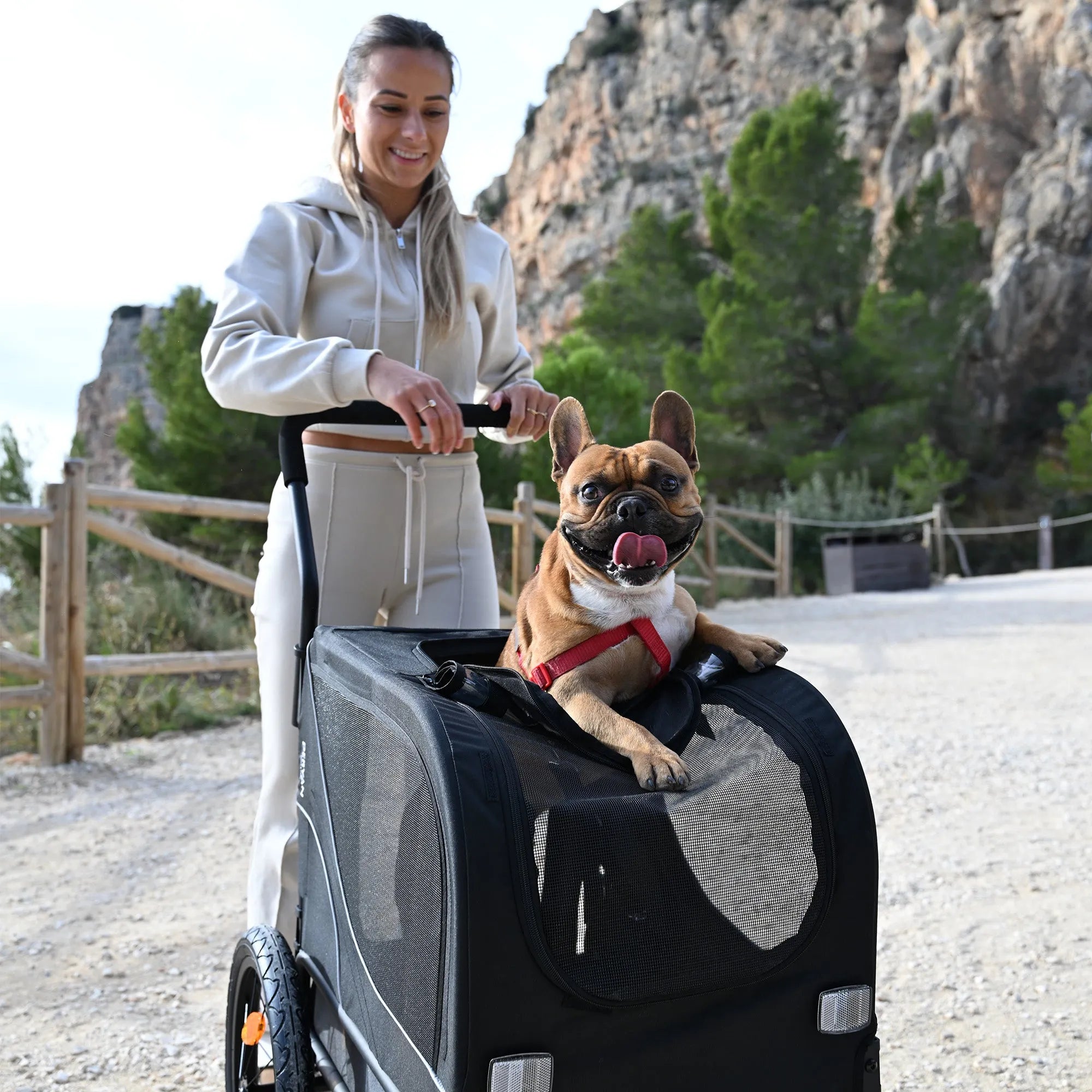 Faltbarer Hundefahrradanhänger Bis zu 20 kg E-Bike geeignet