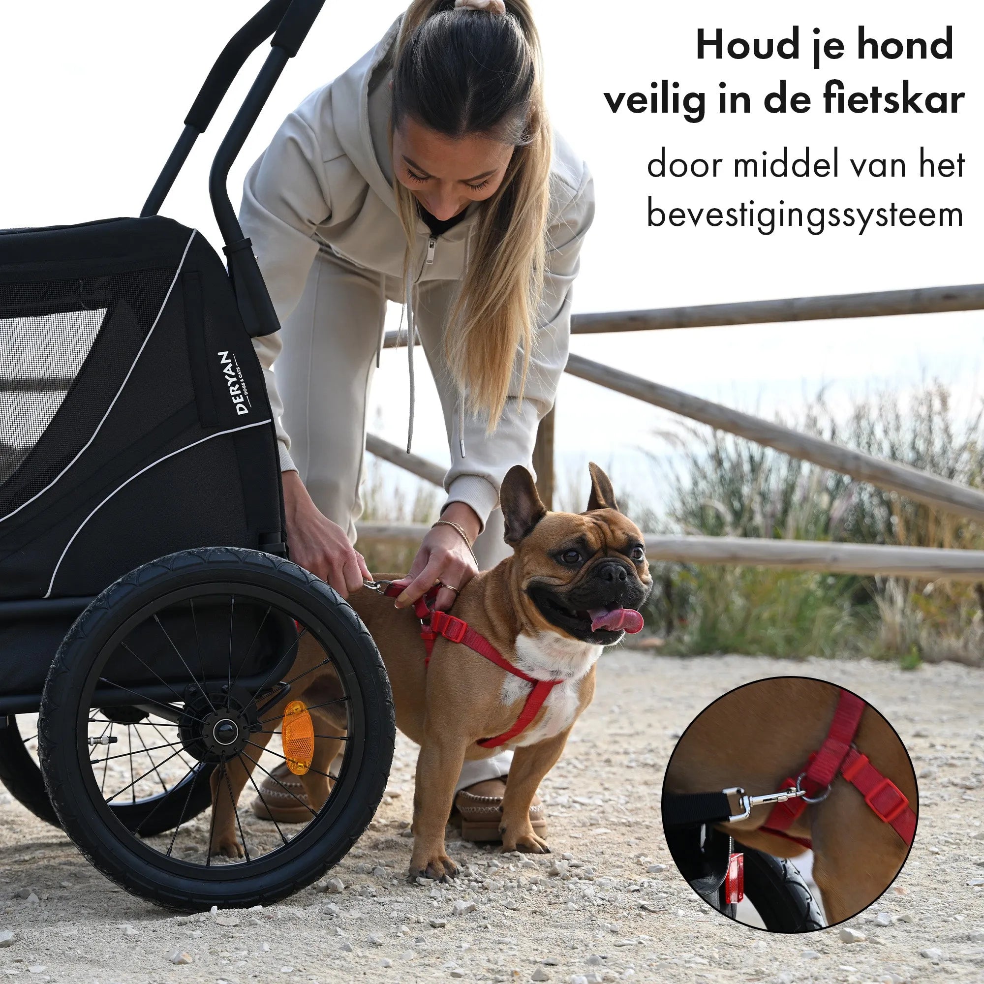 Faltbarer Hundefahrradanhänger Bis zu 20 kg E-Bike geeignet